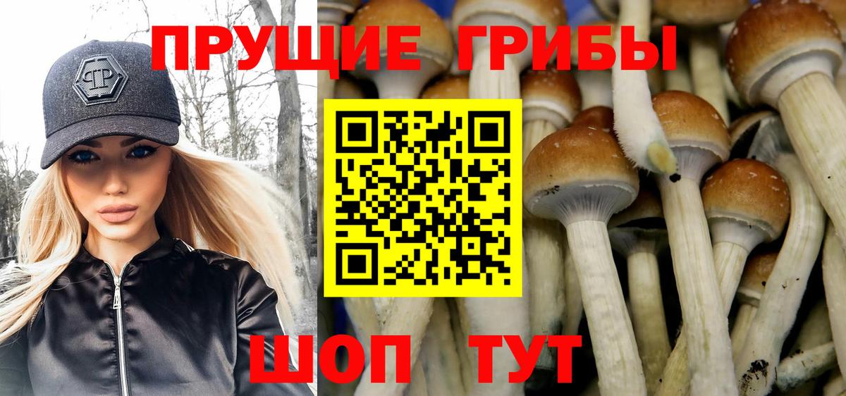 Галлюциногенные грибы Cubensis  Вход с VPN  Псилоцибиновые грибы мухоморы  Новокубанск 